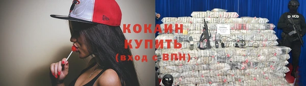 шишки Зерноград