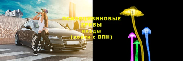 мдма Заводоуковск