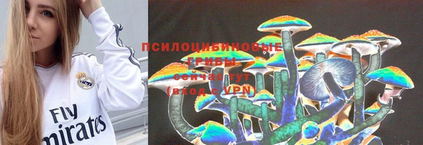 дмт Заволжск