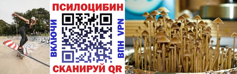 Купить где  Горбатов  Галлюциногенные грибы прущие грибы 