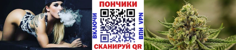 Купить где  Горбатов  Бошки Шишки планчик 